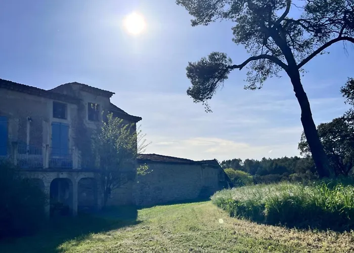Du Gentilhomme Lavande Orthoux-Sérignac-et-Quilhan